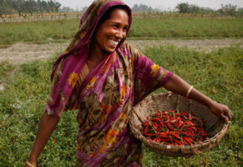 Шейха арестовали за фетву о женщинах