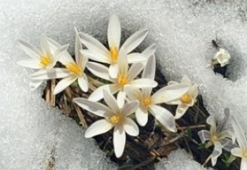 құтты болсын.