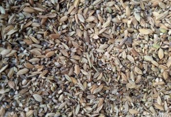 Күріш қауызы кәдеге жаратыла бастады