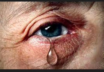 Адамның көз жасының анализі бойынша ауруды анықтауды меңгерді