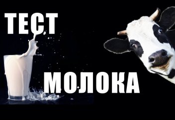 ПРОВЕРИМ НАТУРАЛЬНОСТЬ МОЛОКА ИЗ МАГАЗИНА – РЕЗУЛЬТАТ ЗА МИНУТУ! (ФОТО+ВИДЕО)