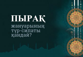 Пырақ жануарының түр-сипаты қандай?