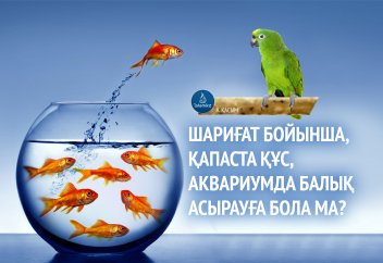 Шариғат бойынша қапаста құс, аквариумда балық асырауға бола ма?