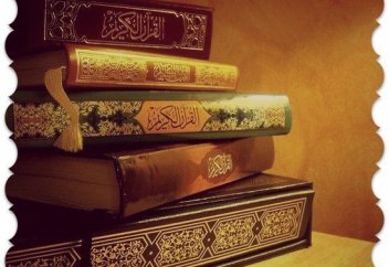 4 этапа развития фикха