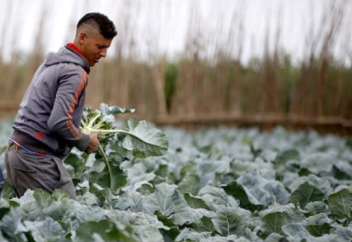 Араб елі адам капиталынан айырылу қатерімен бетпе-бет келмек