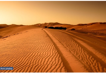 Спутники показали, как в Казахстане растет самая молодая пустыня Земли (фото)