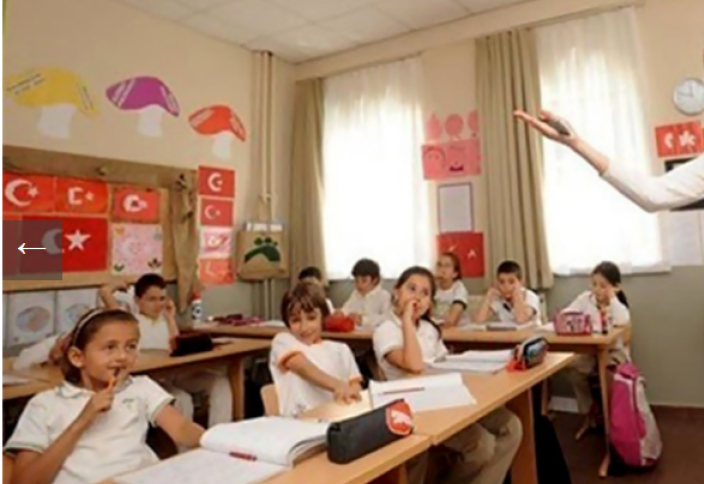 Минобразования Турции проверяет «учителей-инфлюенсеров» из-за поведения в соцсетях