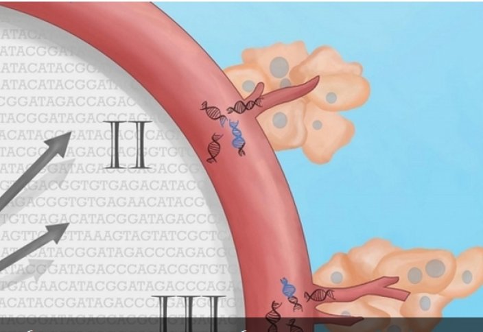 Мутации ДНК "выдают" рак на ранних стадиях: новый анализ крови уже прошёл испытания