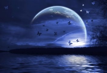 Әбу Ханифаның ақидаға қатысты өсиеті: Алланың көрінуі  (12-ереже, 2-бөлім)