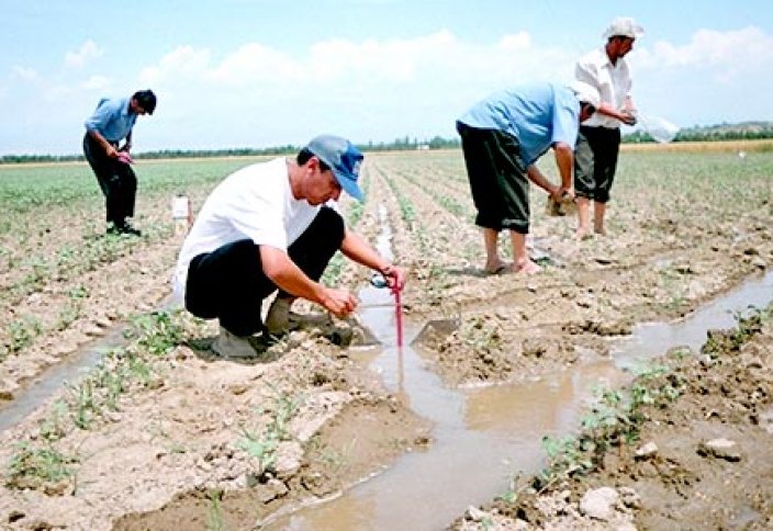 Қытай зерттеушілері: Орталық Азия елдері суды ысырап етіп, жерді тиімсіз пайдаланып отыр