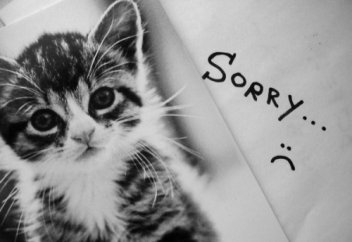 Кешірім жайлы