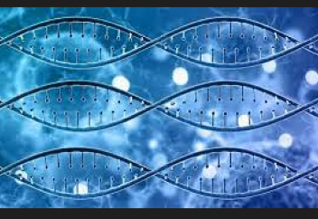 ДНҚ көмегімен көмірқышқыл газын пайдалы затқа айналдырудың жолы табылды