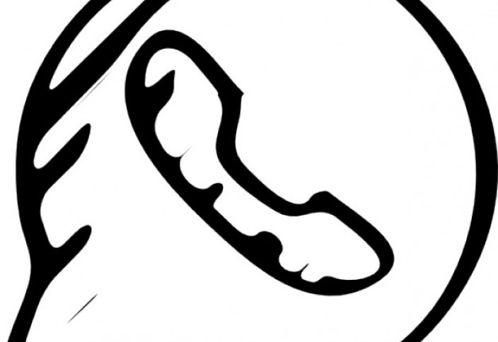 ОПРОВЕРЖЕНИЕ! В МВД РК назвали ложной рассылку по WhatsApp о терактах