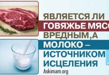 Говядина харам? Можно ли употреблять говядину в Исламе? | Ислам Sound