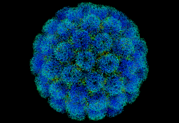 Вирус тірі жасушаның ядросына қалай енеді? Вирустардың жасушаға шабуылы таспаға тартылып қалды (видео)
