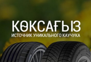 Завод по производству каучука из одуванчика «көксағыз» построят в Алматинской области