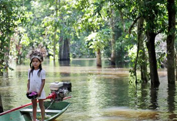 Project Syndicate (США): стимулы для биоэкономики Бразилии