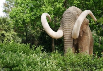 Риск вымирания зависит от размера животного. Черный список