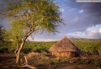 Эфиопия планирует возродить 22 млн гектаров безжизненной земли к 2030 году