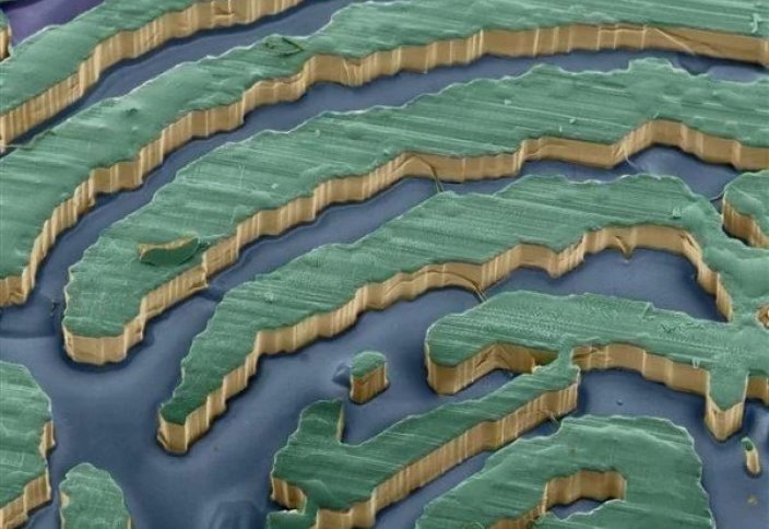 Микроскоппен түсірілген 34 таңғажайып фото