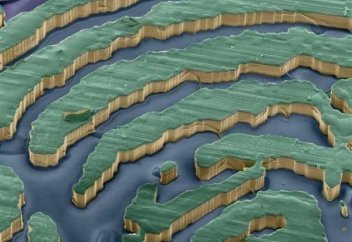 Микроскоппен түсірілген 34 таңғажайып фото