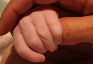 Четыре основы воспитания