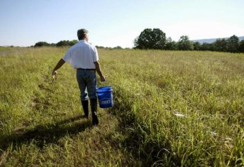 Батыс Вирджинияның ауыл шаруашылық моделі бос қиял ма, әлде мүмкіндік пе?