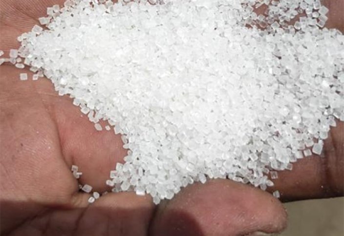 Қызылордалық ғалымдар күріштің жаңа сұрпын өсіре бастады