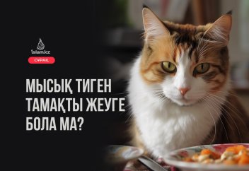 Мысық тиген тамақты жеуге бола ма?