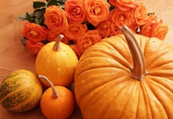 Коран и хадисы о тыкве