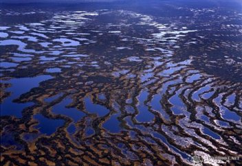 Батпақты құрғақшылықтан құтқару үшін су айдайтын болды