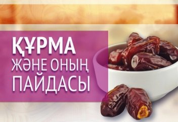 Құрма – Құран аяттарында көп кездесетін жеміс түрі