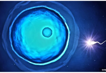 Аналық жасуша шәуһатты өзі таңдап-талғап қабылдайтын болып шықты