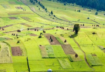 Уезжающим из Казахстана потребовали установить запрет на владение земельными паями