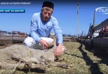 Как принести жертву на Курбан-айт?