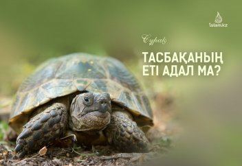 Тасбақаның еті адал ма?