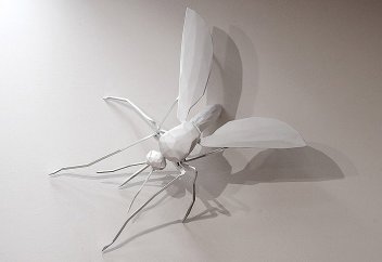 Шамамен 95 млн жыл тіршілік еткен масаның жаңа түрі белгілі болды