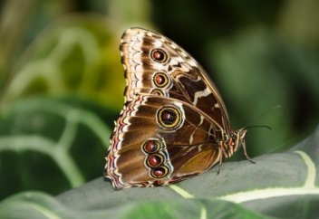Как преодолеть боязнь близости и что о ней думают социологи, психологи и люди, которые избегают отношений