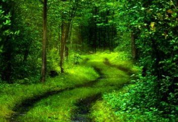 Жазушы періштелерімізді ұмытпайық!