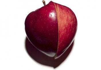 Моногамия объяснена учеными