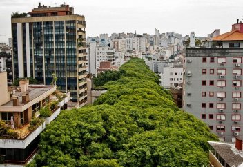 Әлемнің ерекше көшелері (видео)