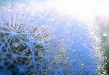 Ібілістің сәждеден бас тартуы