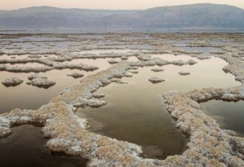 Өлі теңіз неге өліп қалған?