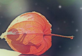 Ученые нашли еще одно последствие генной модификации детей в Китае