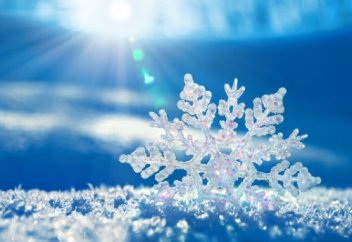 Қар мен қар ұлпалары туралы қызықты деректер. Қар мұражайы