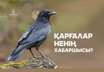 Қарғалар ненің хабаршысы?