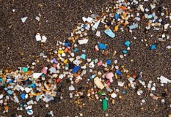 Микрропластиктің инусльтқа ұрындыратыны анықталды