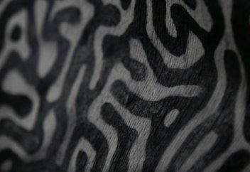 АҚШ дизайнері ауа ластанған кезде түсін өзгертетін киім ойлап тапты (ВИДЕО)