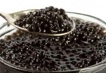 Казахстан навсегда утратил львиную долю своих богатств