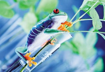 Геном коронавируса расшифрован за несколько недель. В чём ещё преуспела биология?